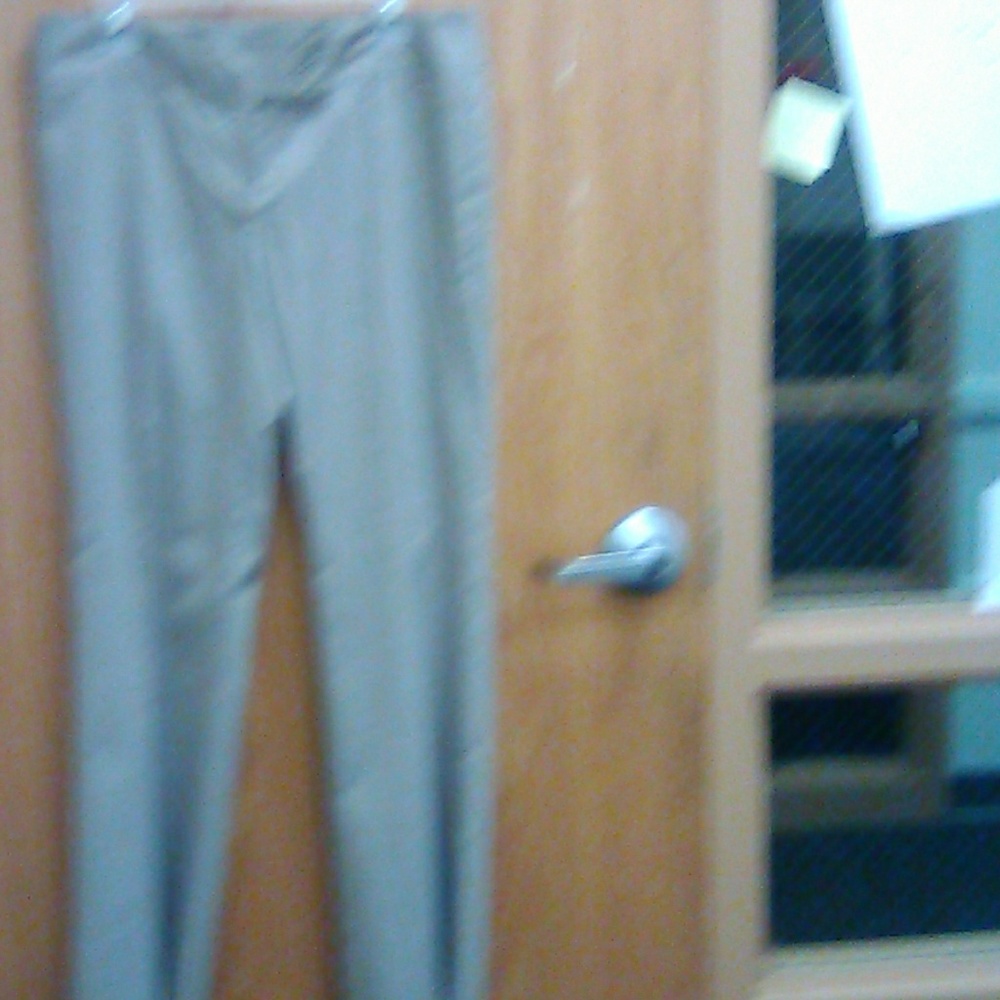 Dress pants